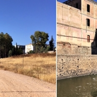 La Cívica alerta sobre la muerte de un centenar de árboles