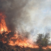 Imágenes del incendio en las cercanías de Alburquerque