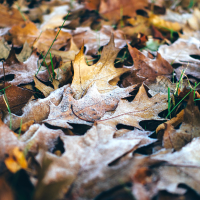 5 cambios más comunes en el tiempo durante el mes de octubre
