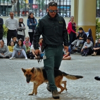 Jornada de puertas abiertas con motivo de la Patrona de la Guardia Civil