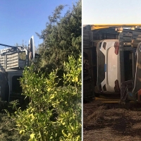 Se accidenta un tráiler con 10 vehículos en la EX100 Badajoz - Cáceres