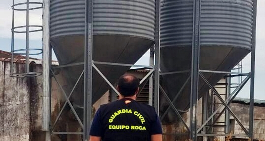 Varios trabajadores investigados por el robo de 18.000 kilos de pienso