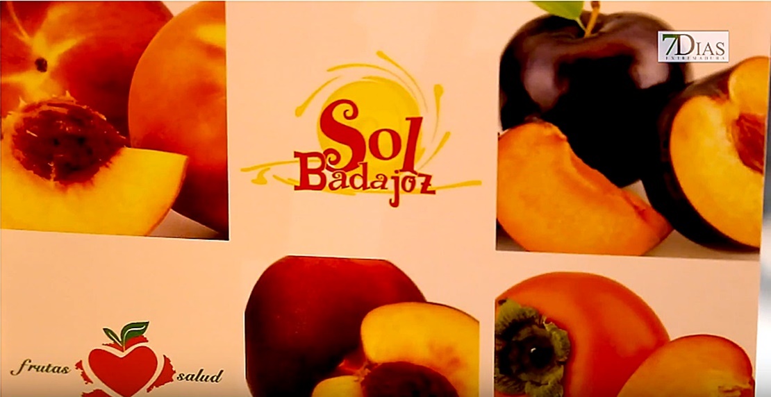 Entrevista al gerente de Sol Badajoz en la Fruit Attraction