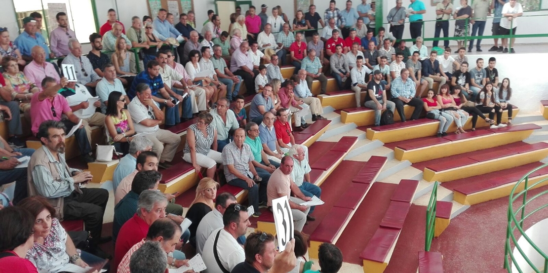 Exitosa subasta de ganado en la Feria Internacional Ganadera de Zafra 2017