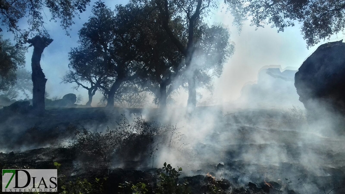 Declarado incendio forestal muy cercano a Alburquerque