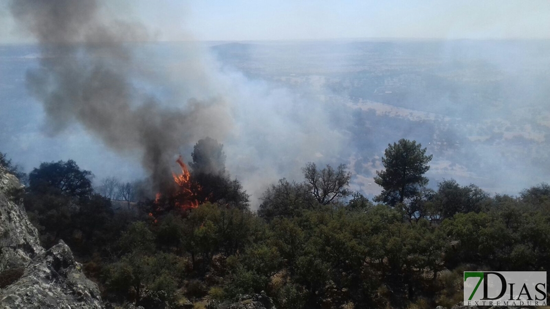 Declarado incendio forestal muy cercano a Alburquerque