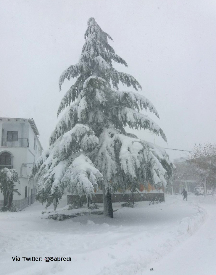 Se cumple un año de la impresionante nevada en Piornal