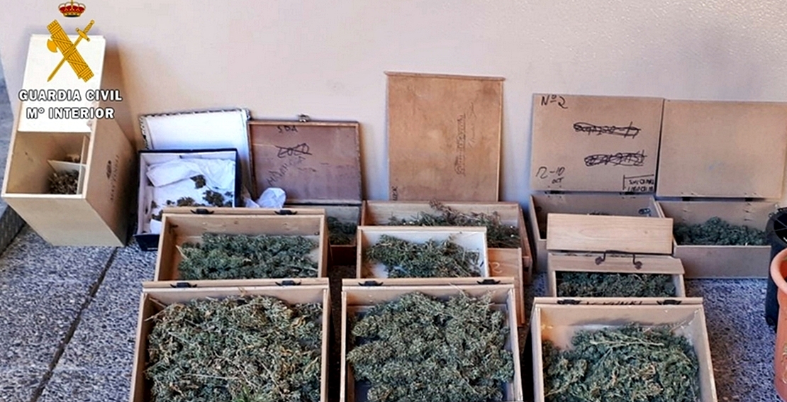 Detenido un vecino de Badajoz por cultivar marihuana en su domicilio