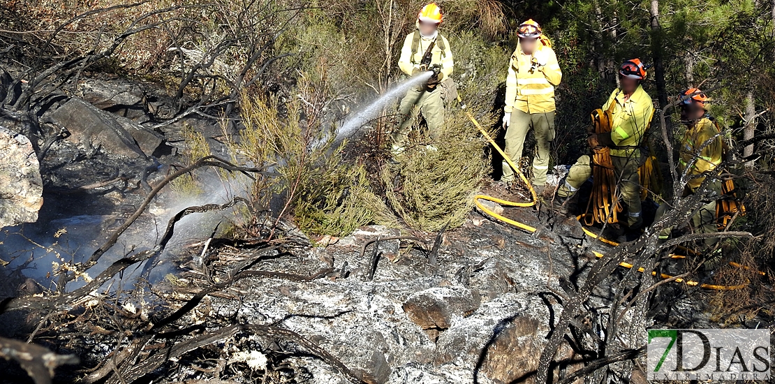 Bomberos forestales trabajan para sofocar un incendio en la Sierra de San Pedro