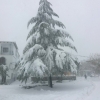 Se cumple un año de la impresionante nevada en Piornal