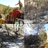 Bomberos forestales trabajan para sofocar un incendio en la Sierra de San Pedro