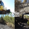 Bomberos forestales trabajan para sofocar un incendio en la Sierra de San Pedro