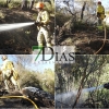 Bomberos forestales trabajan para sofocar un incendio en la Sierra de San Pedro