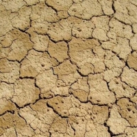 La Junta propone a los agricultores medidas excepcionales para paliar la sequía