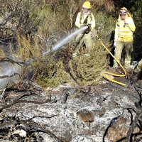 Bomberos forestales trabajan para sofocar un incendio en la Sierra de San Pedro