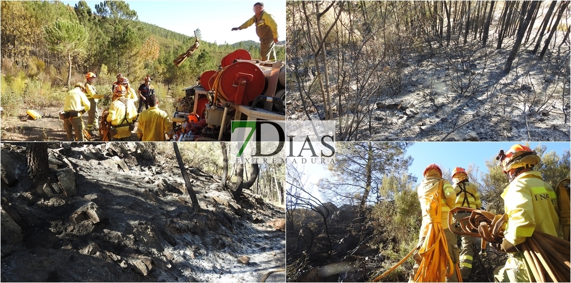 Bomberos forestales trabajan para sofocar un incendio en la Sierra de San Pedro