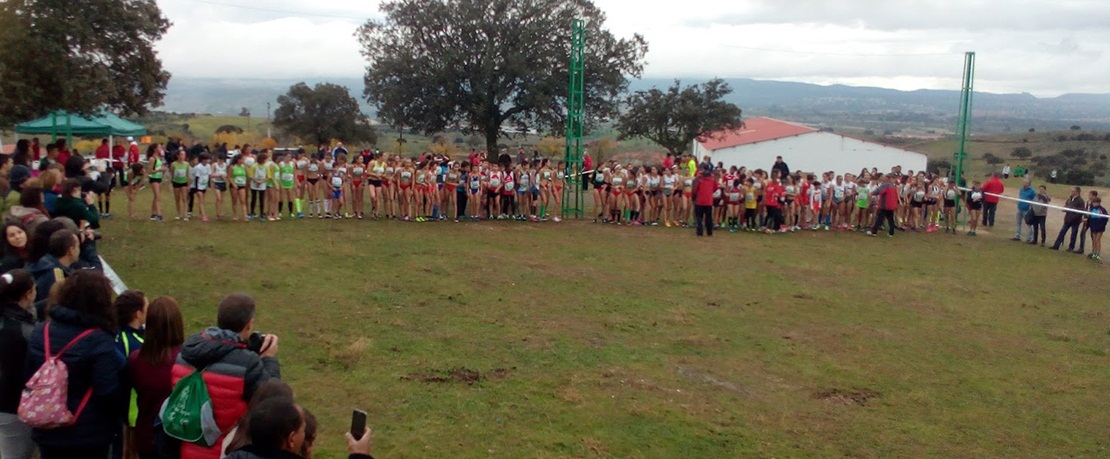 Ayudas a los municipios para la dinamización deportiva