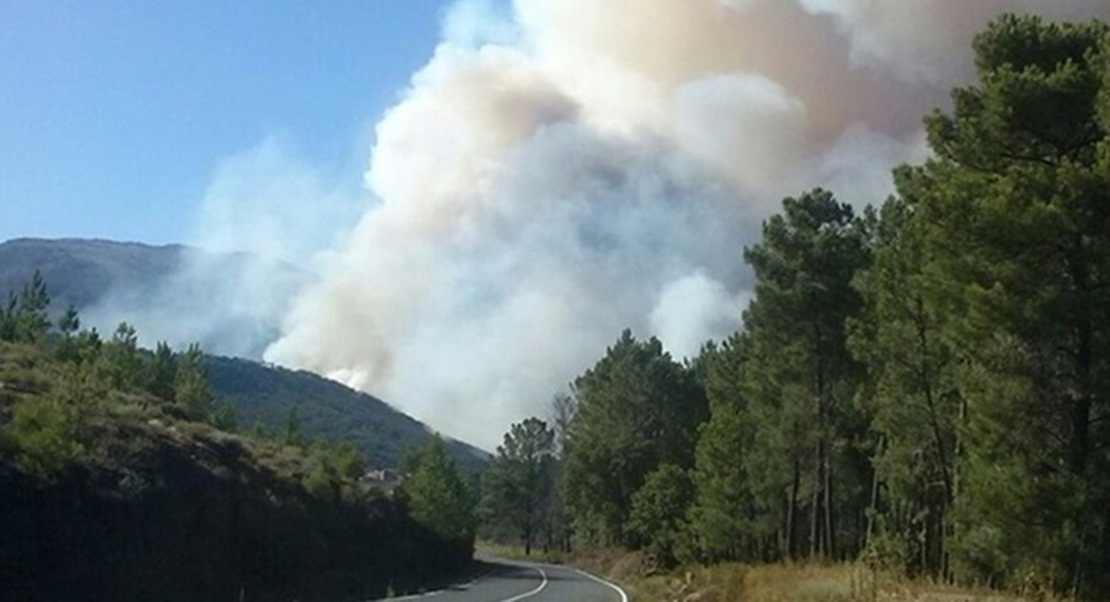 Mejoras para la defensa de incendios forestales en Sierra de Gata