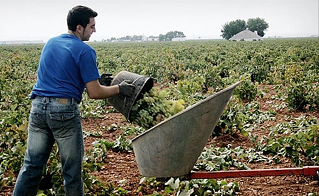 Jornada de Agroindustria 4.0 en el CID &#39;Vegas Bajas&#39;