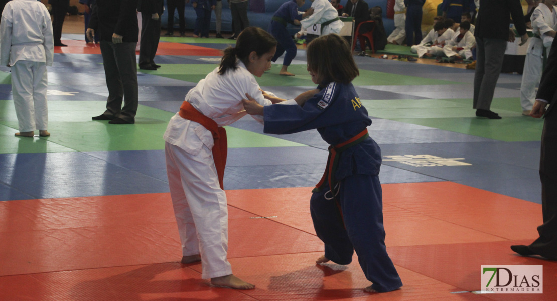 Imágenes del Trofeo Ciudad de Badajoz de judo 2017