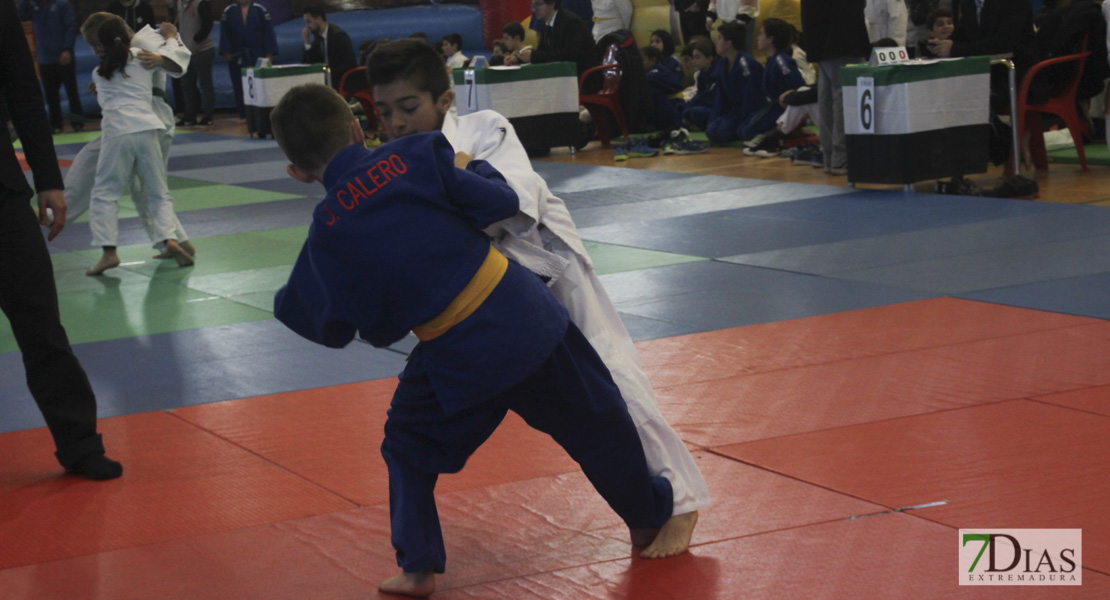 Imágenes del Trofeo Ciudad de Badajoz de judo 2017