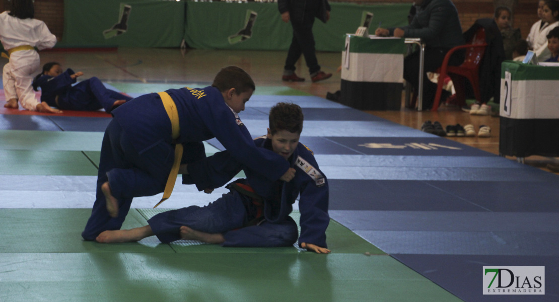 Imágenes del Trofeo Ciudad de Badajoz de judo 2017
