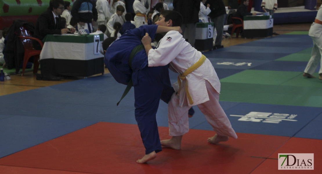 Imágenes del Trofeo Ciudad de Badajoz de judo 2017