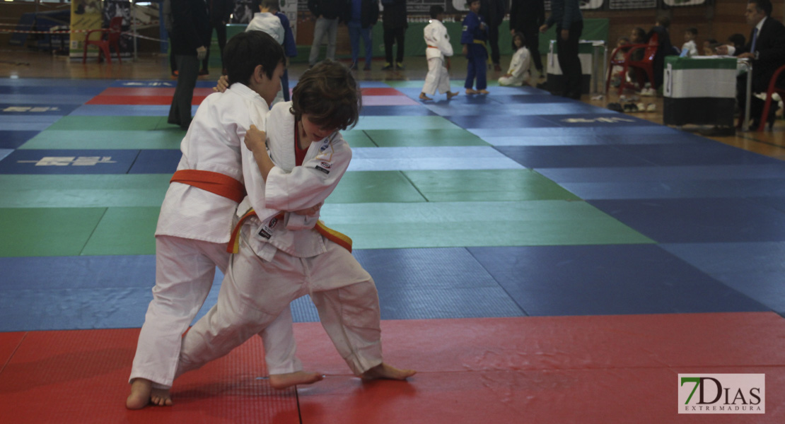 Imágenes del Trofeo Ciudad de Badajoz de judo 2017