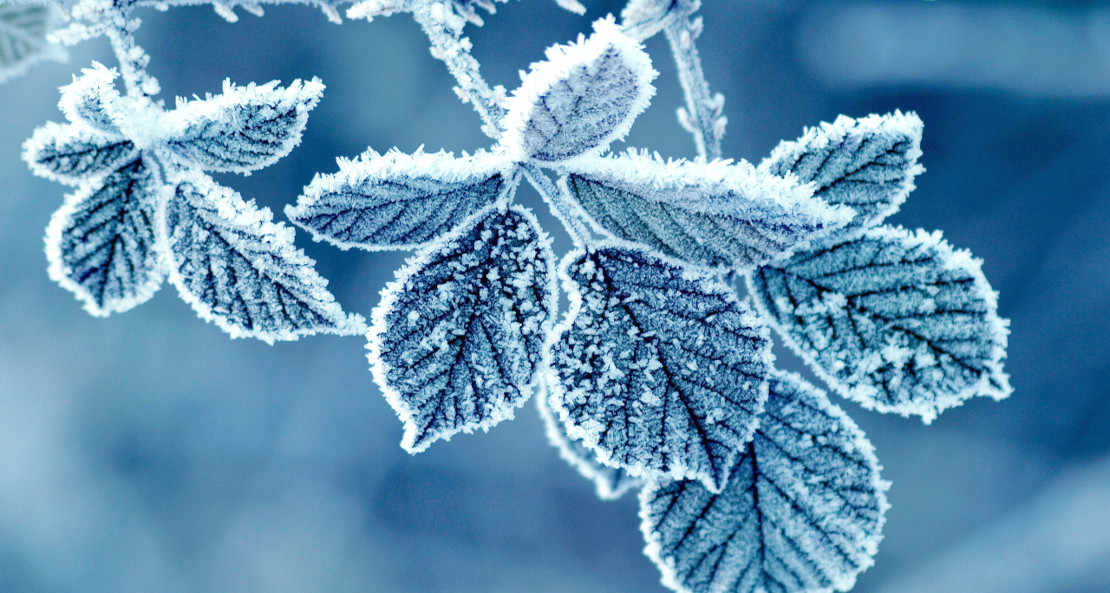 Empieza diciembre y el invierno climatológico, que no el astronómico