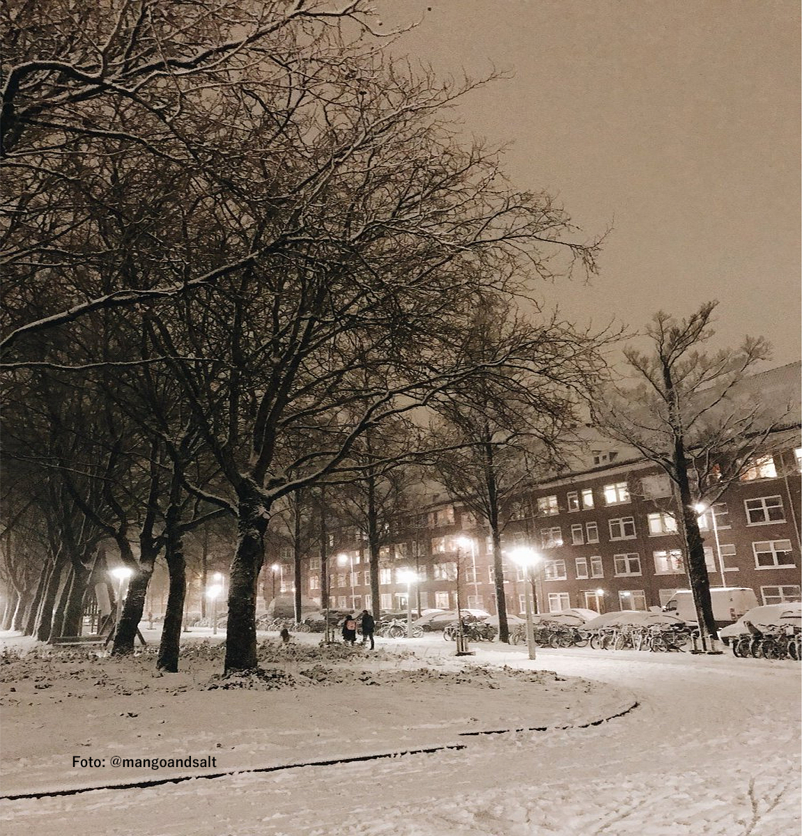 Ámsterdam se cubre de blanco tras las nevadas de estos días en Europa