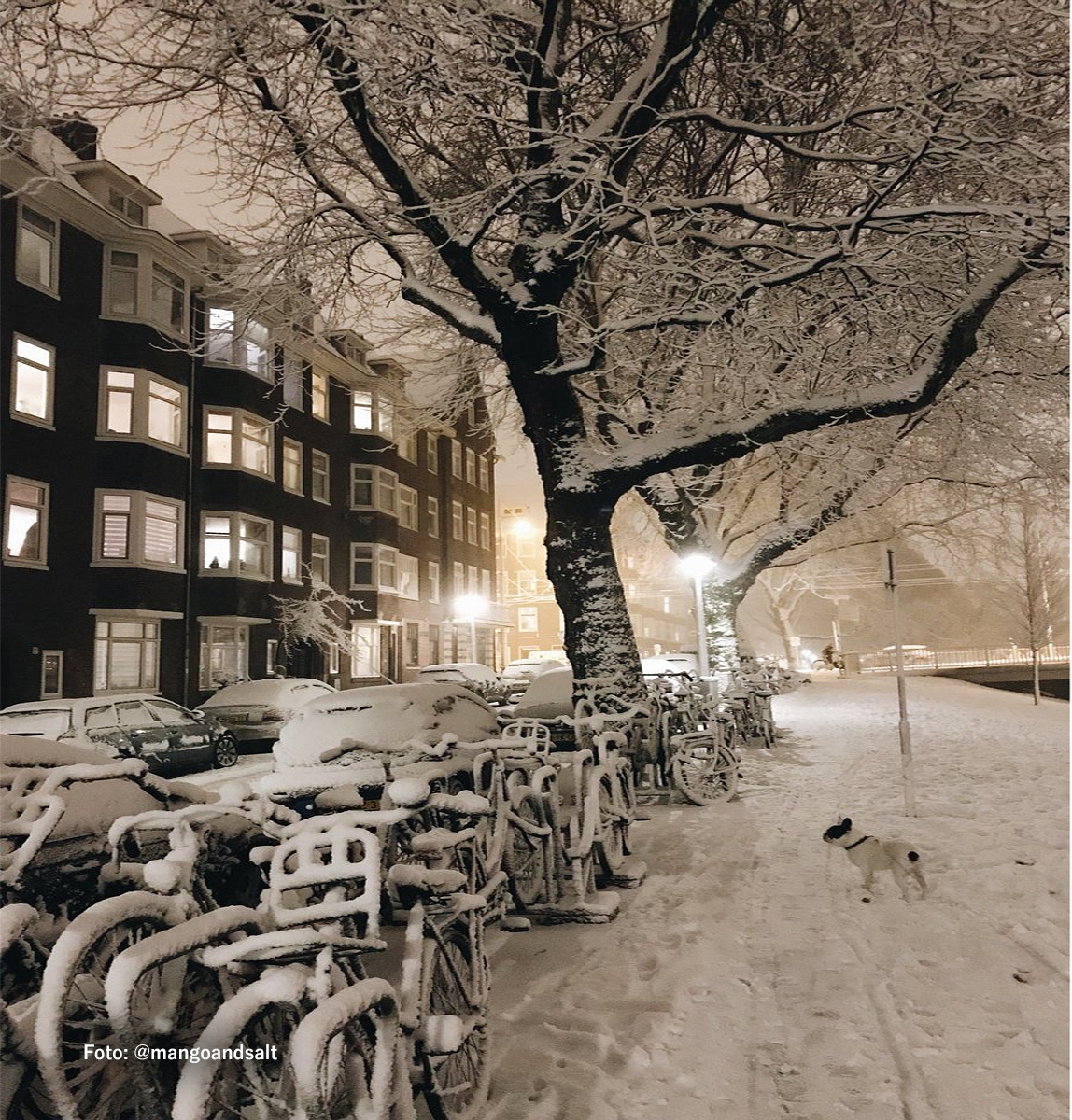 Ámsterdam se cubre de blanco tras las nevadas de estos días en Europa