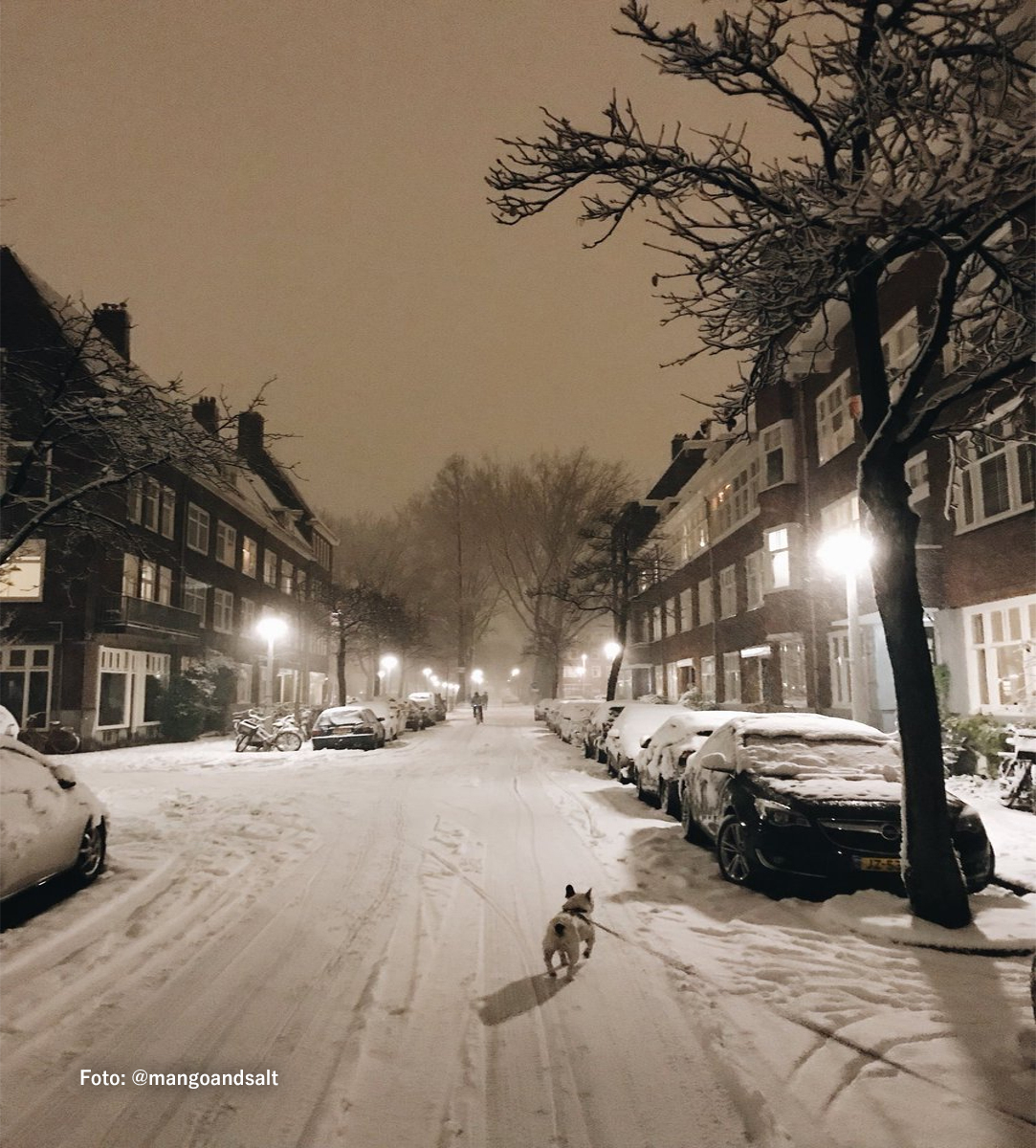 Ámsterdam se cubre de blanco tras las nevadas de estos días en Europa