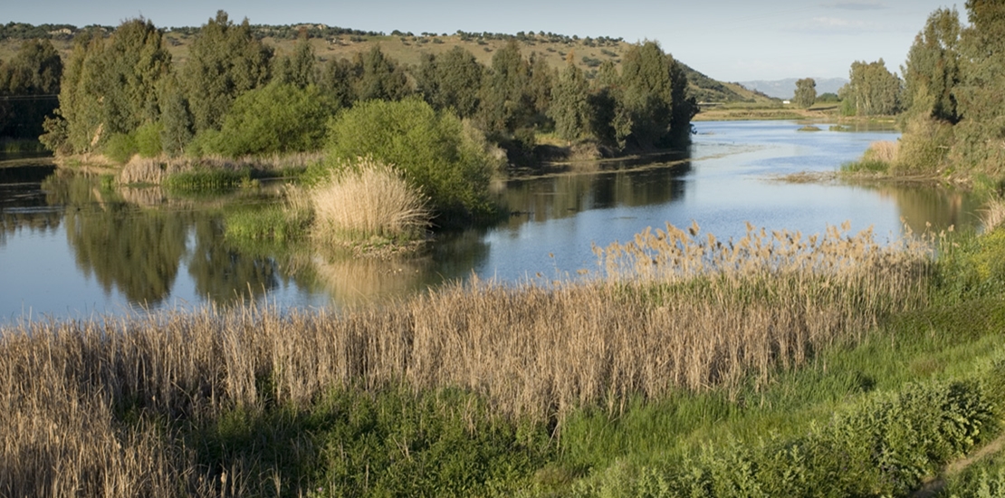 Extremadura apuesta por convertirse en referente internacional en Economía Verde