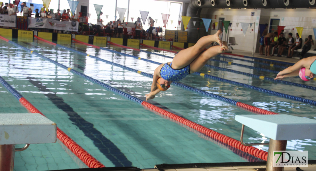 Imágenes del Campeonato de Extremadura de Natación 2017