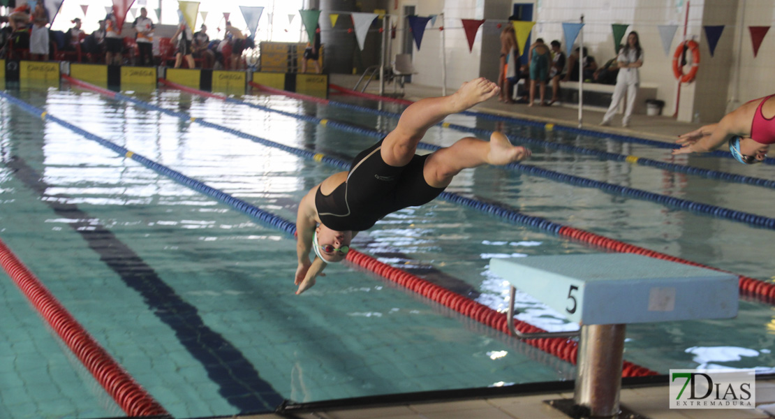 Imágenes del Campeonato de Extremadura de Natación 2017