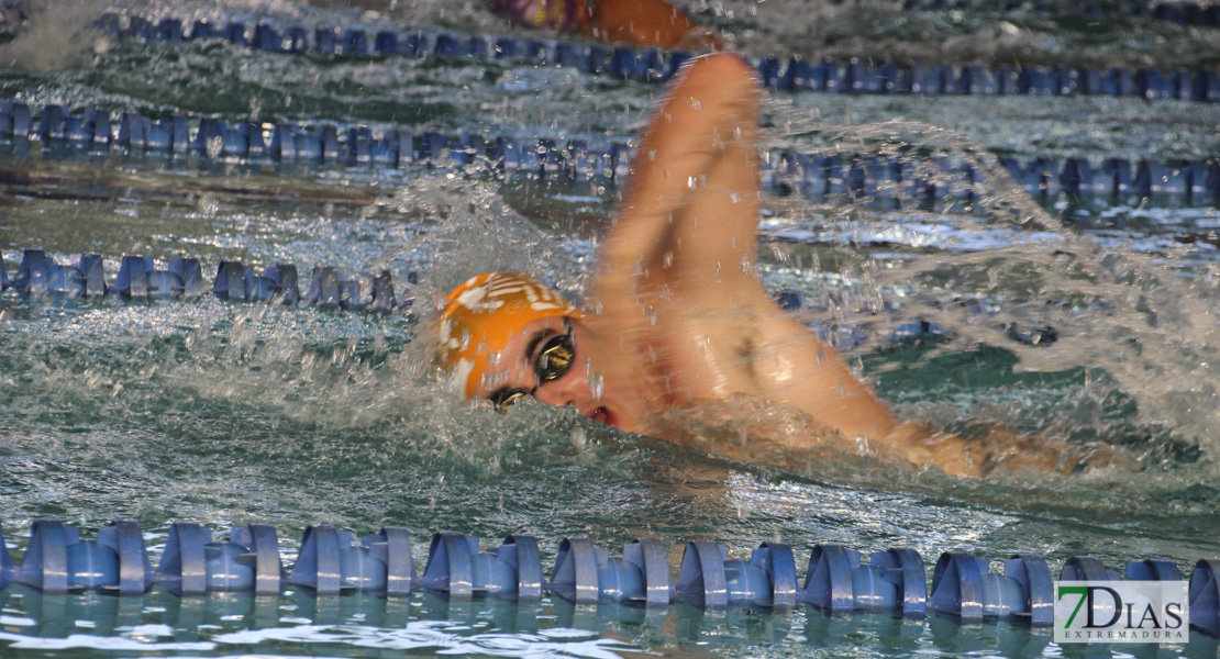 Imágenes del Campeonato de Extremadura de Natación 2017