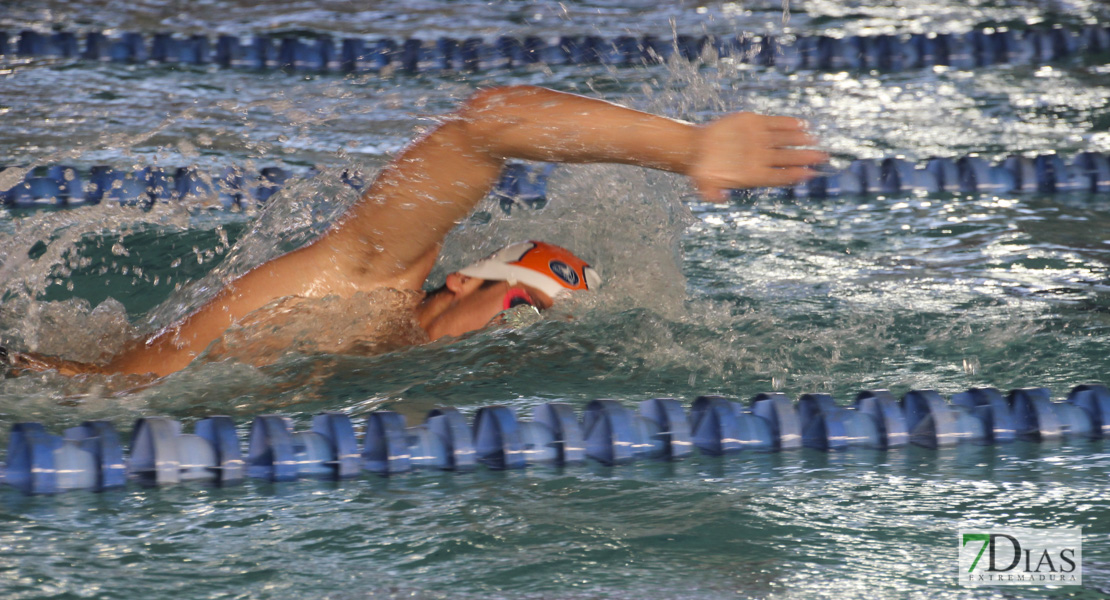 Imágenes del Campeonato de Extremadura de Natación 2017