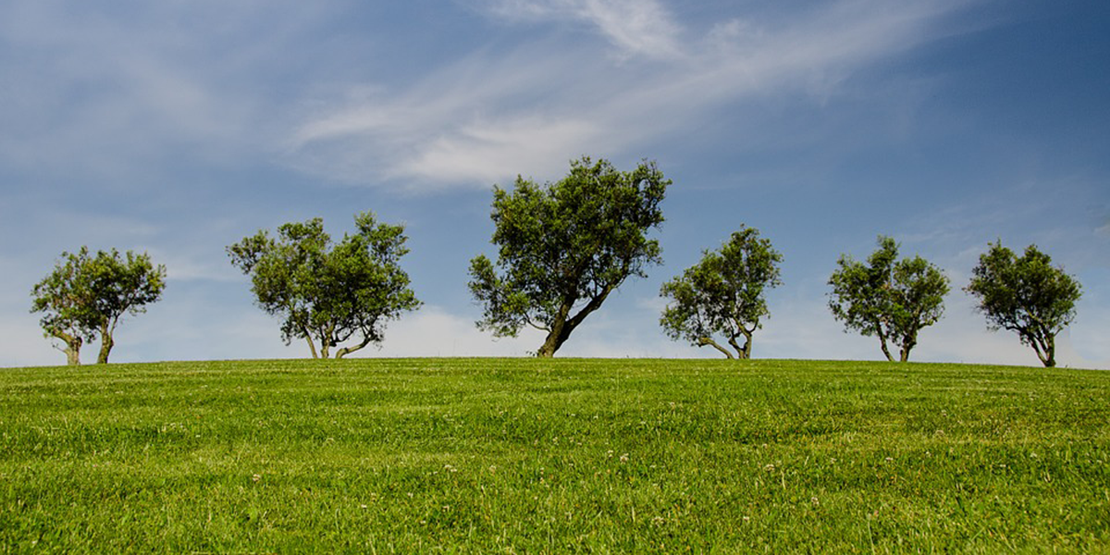 El Marco de impulso de la Economía verde y Circular supera las 300 adhesiones