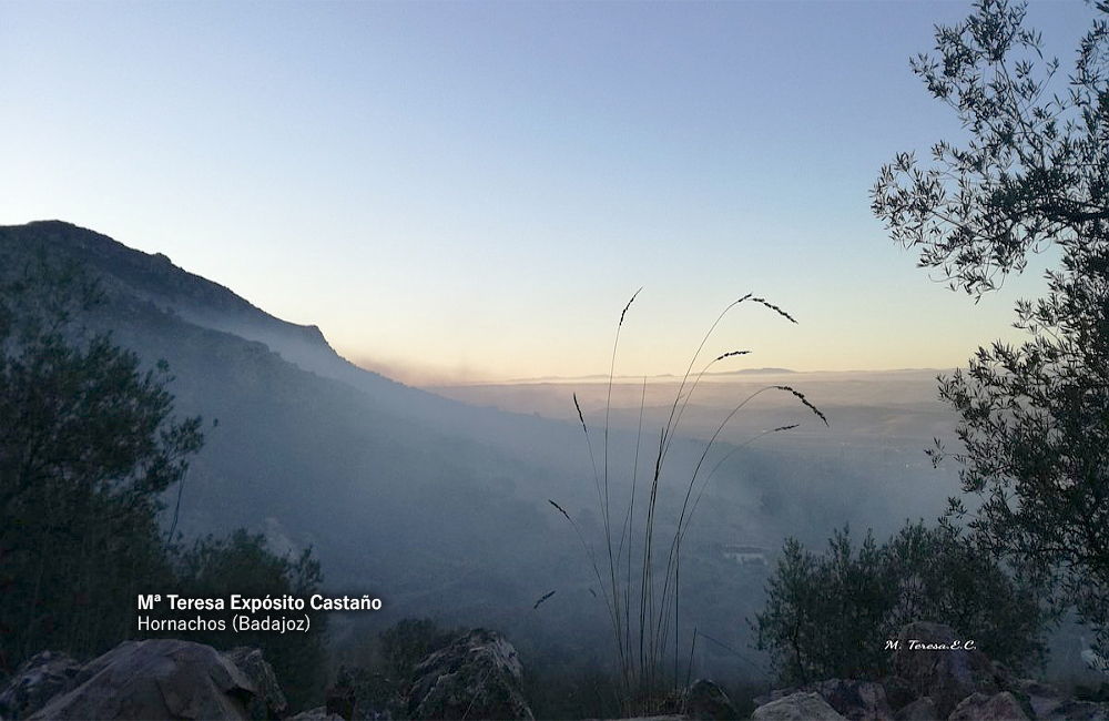 Imágenes de las heladas al amanecer en Extremadura este diciembre