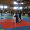 Imágenes del Trofeo Ciudad de Badajoz de judo 2017