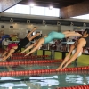 Imágenes del Campeonato de Extremadura de Natación 2017