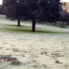 Imágenes de las heladas al amanecer en Extremadura este diciembre
