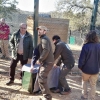 Cinco parejas de linces crían actualmente en Extremadura