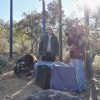 Cinco parejas de linces crían actualmente en Extremadura