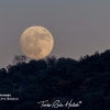 Así se ha visto en Extremadura la única ‘Superluna’ de este 2017