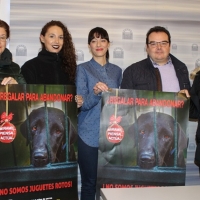 Una campaña pretende concienciar sobre la adopción de perros en lugar de su compra