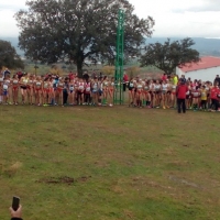 Ayudas a los municipios para la dinamización deportiva