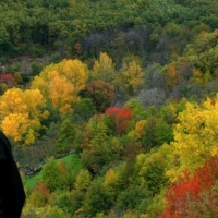 El Otoño Mágico, del Valle del Ambroz, declarada Fiesta de Interés Turístico Nacional