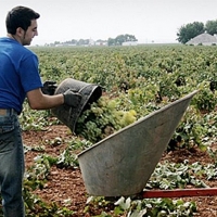 Jornada de Agroindustria 4.0 en el CID &#39;Vegas Bajas&#39;