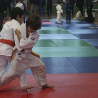 Imágenes del Trofeo Ciudad de Badajoz de judo 2017